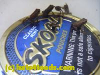 /home//u458753944/public_html/sourcegallery/////////////////////////////////Roxborough Toad Detour/2013-2019/2014/2014-06-14/P1160303.JPG